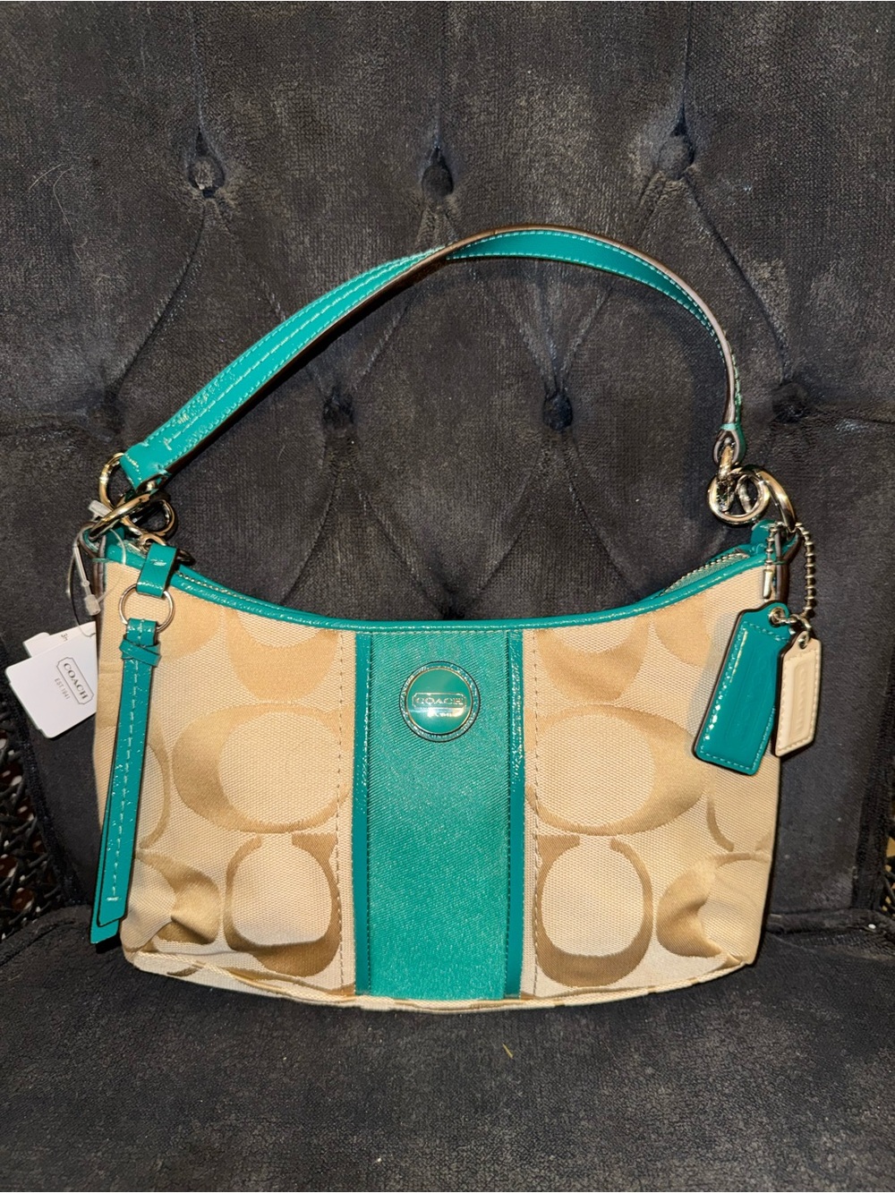 Coach Mini Demi